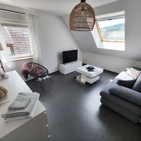 Bel Appartement En Centre Alsace キンツアイム エクステリア 写真