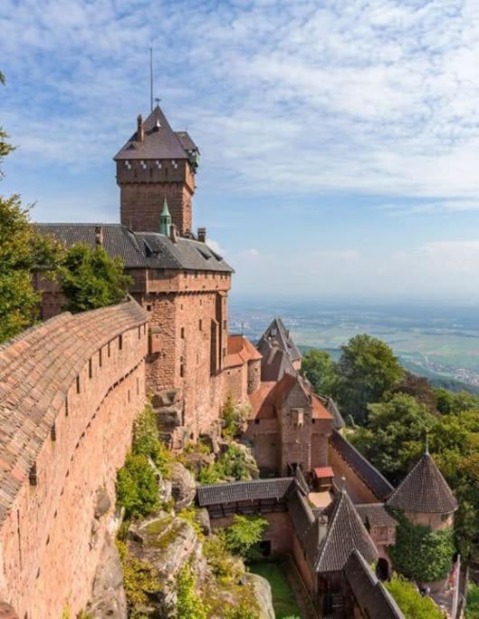 Bel Appartement En Centre Alsace キンツアイム エクステリア 写真